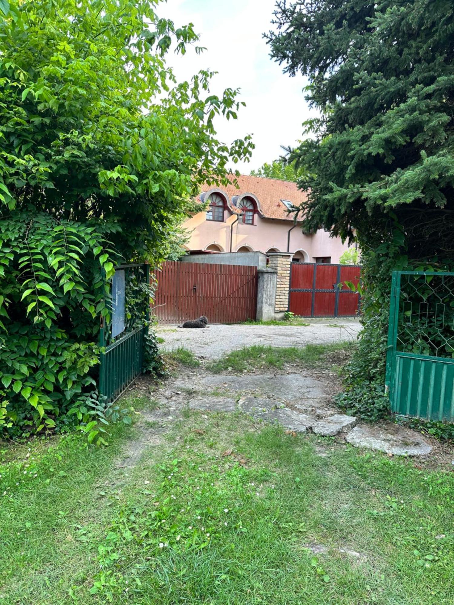 Vila Regina 帕利克 客房 照片