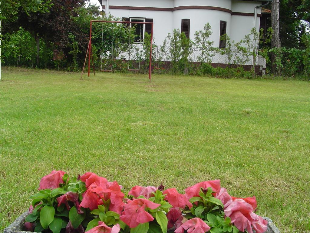 Vila Regina 帕利克 客房 照片